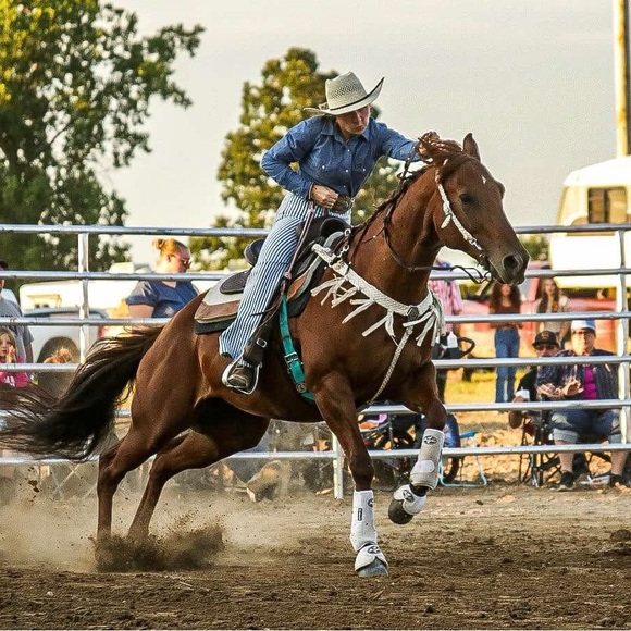 Meet your Posher, Ava - Picture 1 of 1